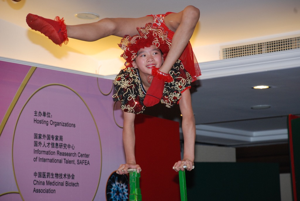 中国抗病毒大会 · 2009 北京现场